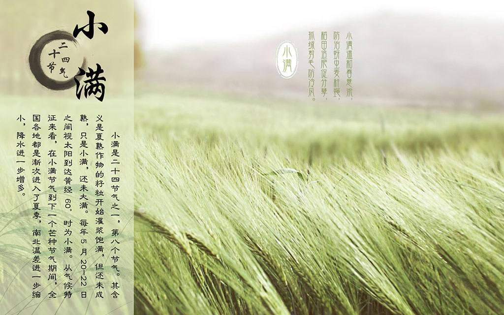 行星减速机厂家话小满